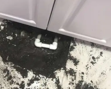 仙游查漏水哪家好